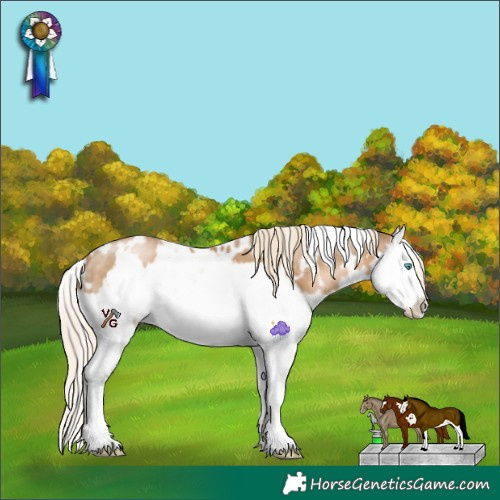 Horse Color:White Spotted Liver Chestnut Snowdrop Splash Frame 