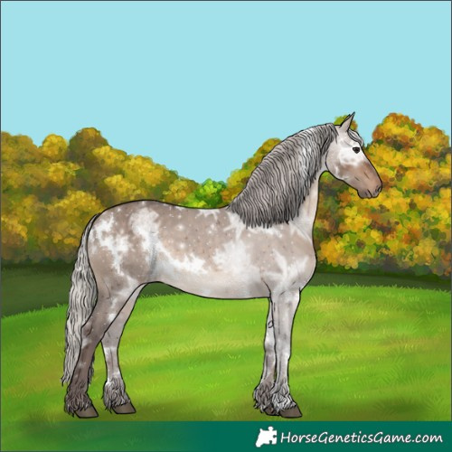 Horse Color:White Spotted Silver Brown Ice Dun 