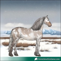 Horse Color:White Spotted Silver Brown Ice Dun
