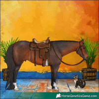 Horse Color:Bay 
