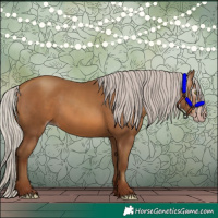 Horse Color:Gray Silver Sable Champagne 