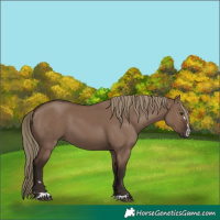 Horse Color:Liver Red Dun 