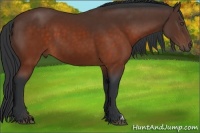 Horse Color:Brown 