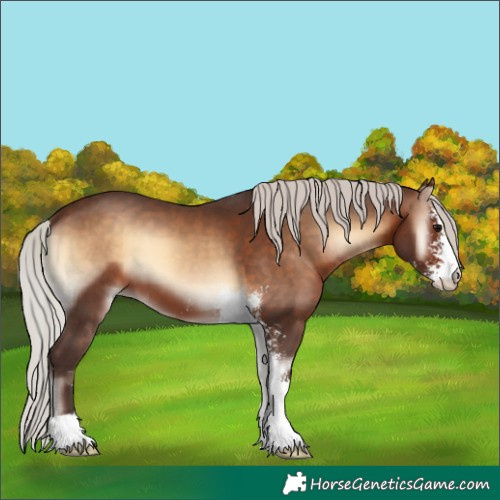 Horse Color:Silver Brown Onyx Sabino 