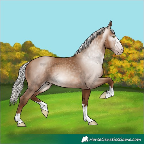 Horse Color:Gray Silver Sable Champagne