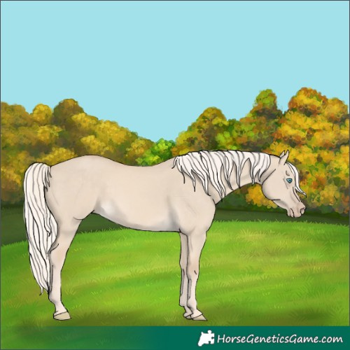 Horse Color:Cremello Dun 