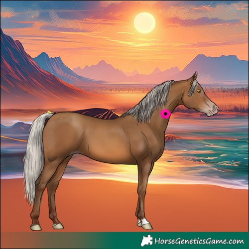 Horse Color:Gray Silver Sable Champagne 