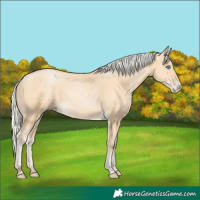 Horse Color:Silver Buckskin Pearl 
