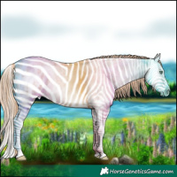 Horse Color:Gold Champagne Ice Roan Pearl Sabino Splash Appaloosa 