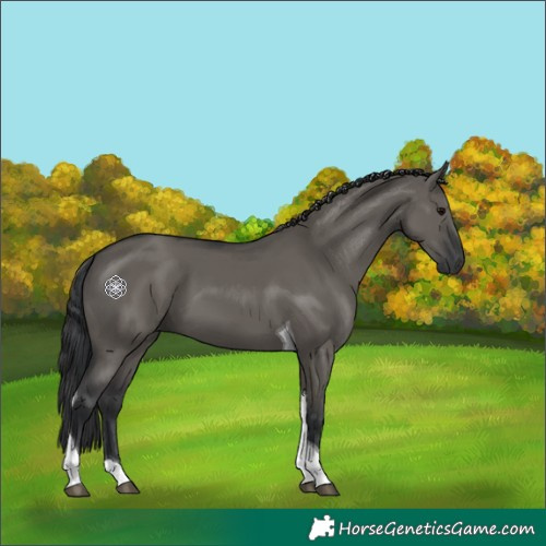 Horse Color:Grullo Tobiano 