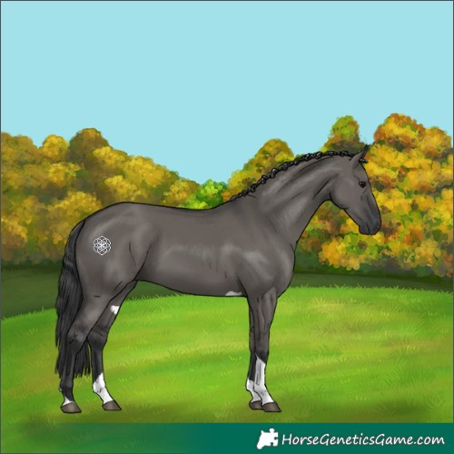 Horse Color:Grullo Tobiano 