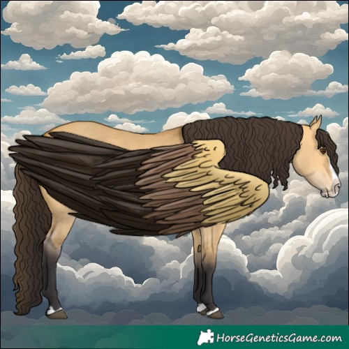 Horse Color:Buckskin Dun Splash 