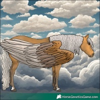Horse Color:Silver Buckskin 