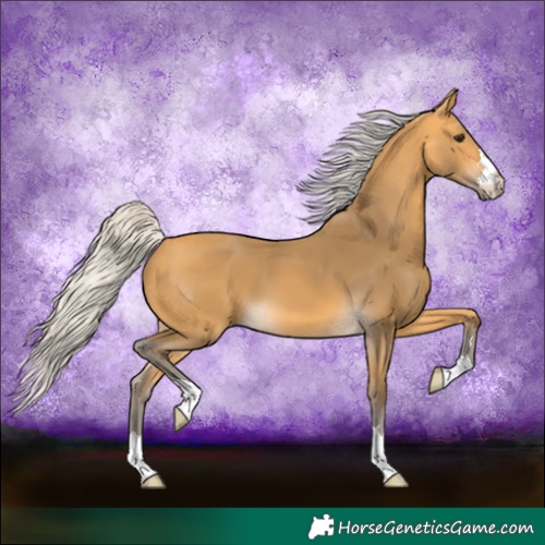 Horse Color:Silver Buckskin 