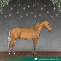 Horse Color:Silver Buckskin 