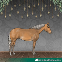 Horse Color:Silver Buckskin 