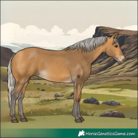 Horse Color:Silver Buckskin 