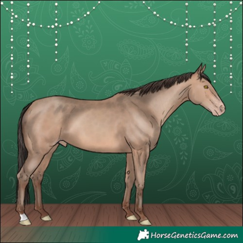 Horse Color:Sable Champagne 