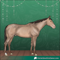 Horse Color:Sable Champagne 