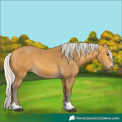 Horse Color:Silver Buckskin 