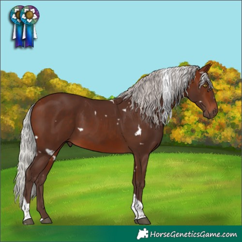 Horse Color:White Spotted Silver Brown Tobiano 