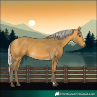 Horse Color:Silver Buckskin