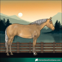 Horse Color:Silver Buckskin 