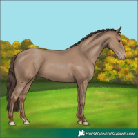 Horse Color:Classic Champagne 
