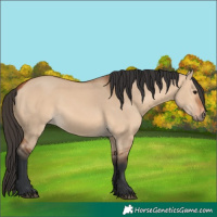 Horse Color:Bay Dun