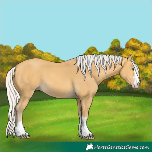 Horse Color:Silver Amber Cream Champagne 