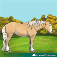 Horse Color:Silver Amber Cream Champagne 