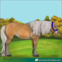 Horse Color:Silver Buckskin