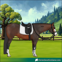 Horse Color:Brown 