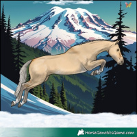 Horse Color:Silver Buckskin Dun 