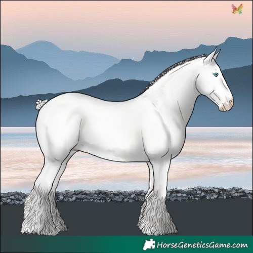 Horse Color:Cremello Roan Dun 