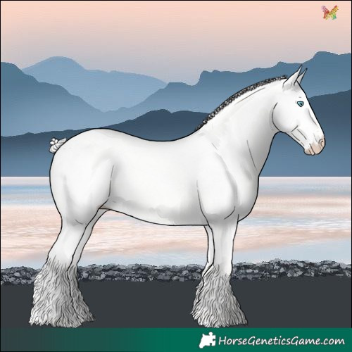 Horse Color:Silver Perlino Dun 
