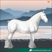 Horse Color:Silver Perlino Dun 