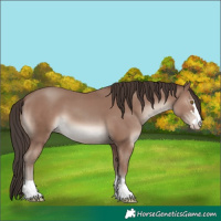 Horse Color:Classic Champagne 