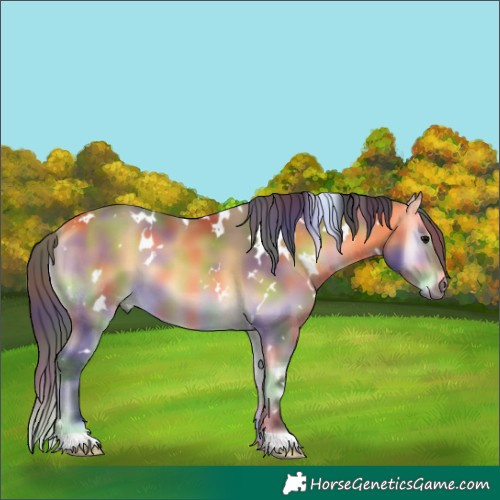 Horse Color:Nacre White Spotted Buckskin Onyx 
