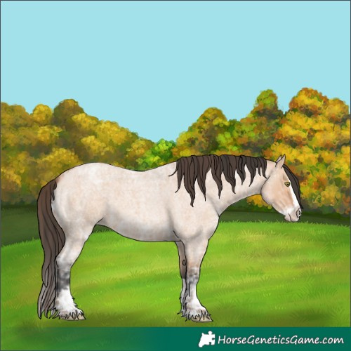 Horse Color:Amber Champagne Ice Roan  and Bay Ice Roan Dun Splash 