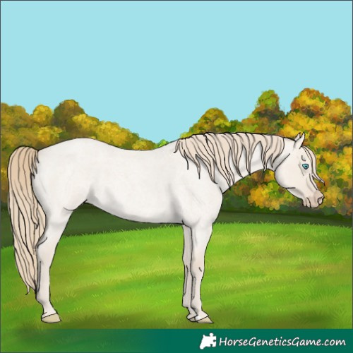 Horse Color:Smoky Creme Roan Dun