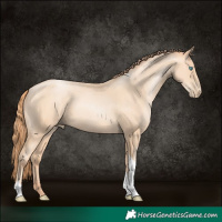 Horse Color:Amber Champagne Pearl Tobiano