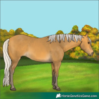 Horse Color:Silver Buckskin