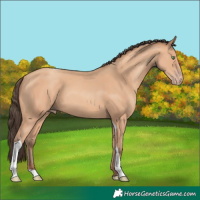 Horse Color:Amber Champagne Tobiano