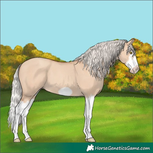 Horse Color:Silver Classic Champagne Dun Splash Frame 