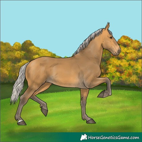 Horse Color:Silver Buckskin