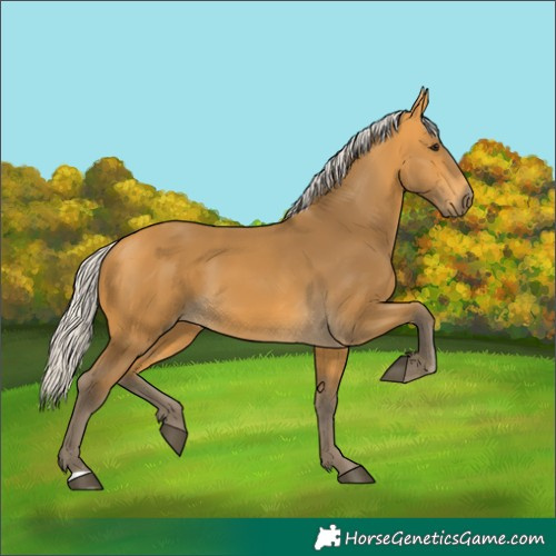 Horse Color:Silver Buckskin