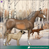Horse Color:Chocolate Palomino 