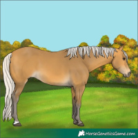 Horse Color:Silver Buckskin 
