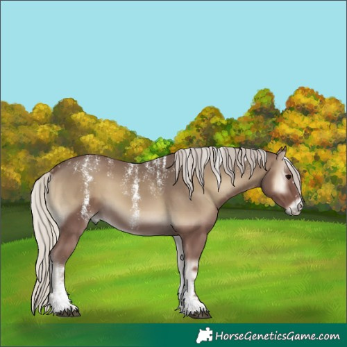 Horse Color:Powder White Silver Smoky Blue Onyx 